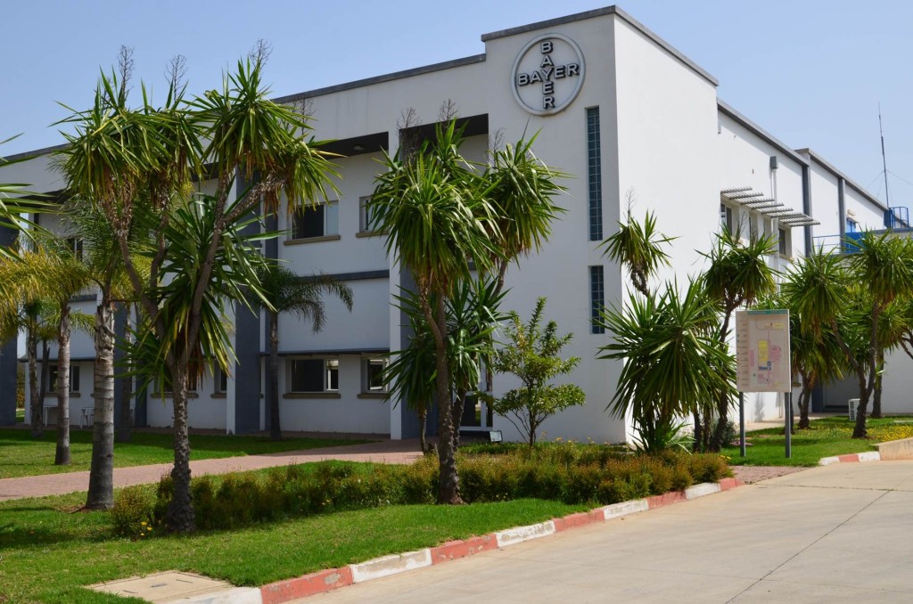 Bayer Morocco