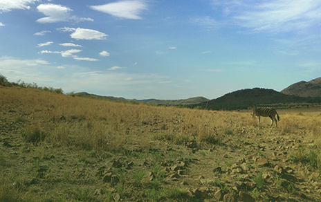 Tackling South Africa’s “Intimate Healthcare” Needs
