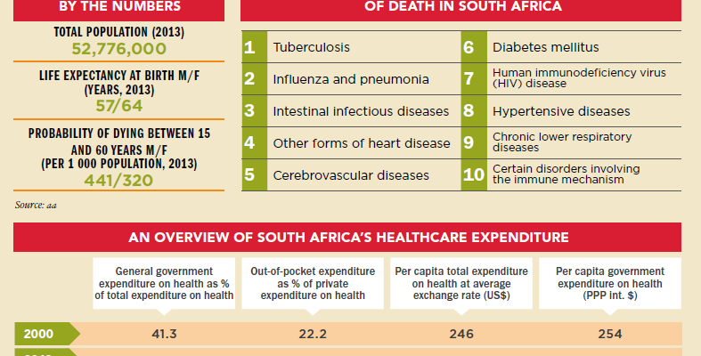 South Africa Healthcare Factsheet