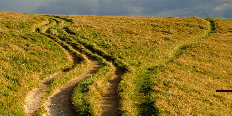 Unconventional Channels for OTC in Hungary: The Path Less Traveled