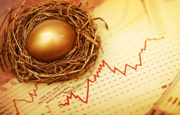 Pure Play vs. Diversification