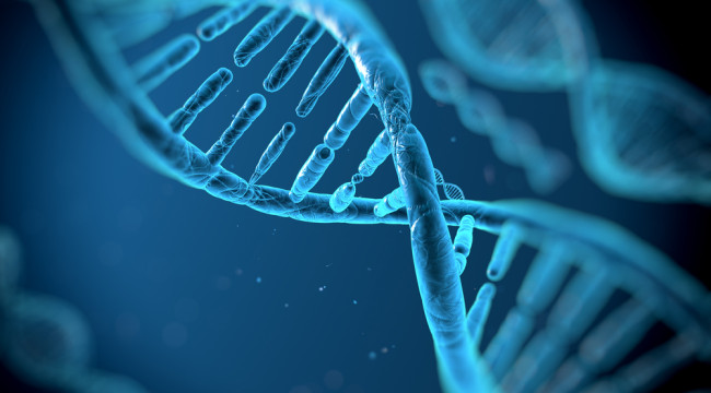 Lithuania’s Biotech Potential