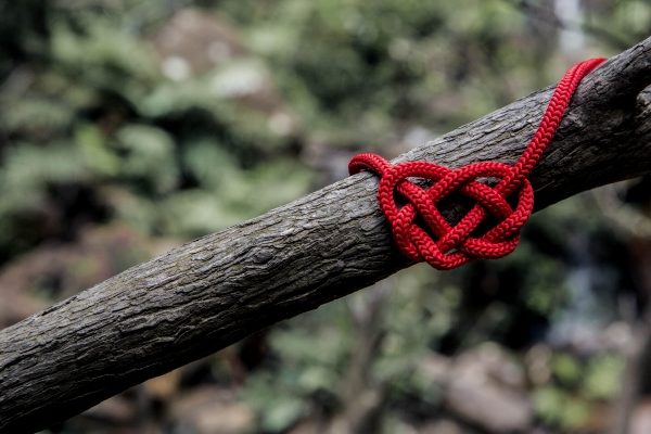 Cardiology in Poland: Building a Leading Ecosystem