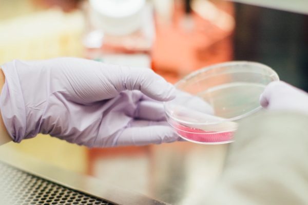 Novartis Quits Antibiotics Research