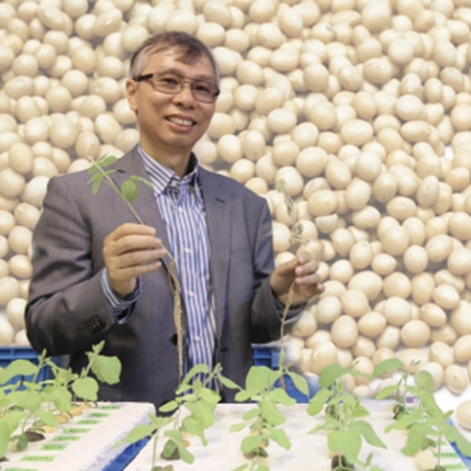 Hon-Ming Lam – Professor, School of Life Sciences, CUHK Hong Kong