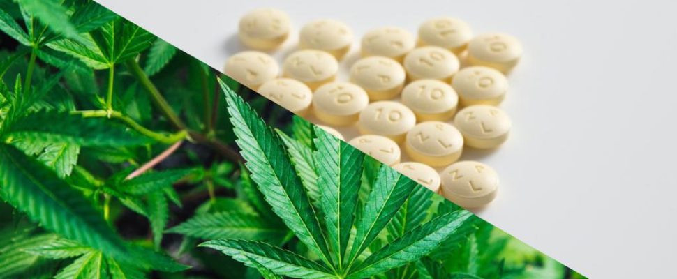 California cannabis company launches opioid alternative