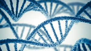 NHS launches a new era of genomic medicine