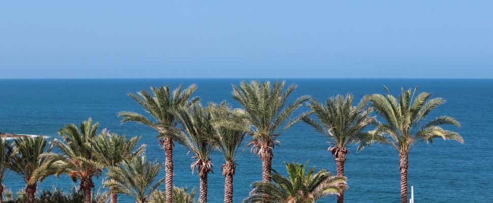New Special Report on Pharma in Cyprus