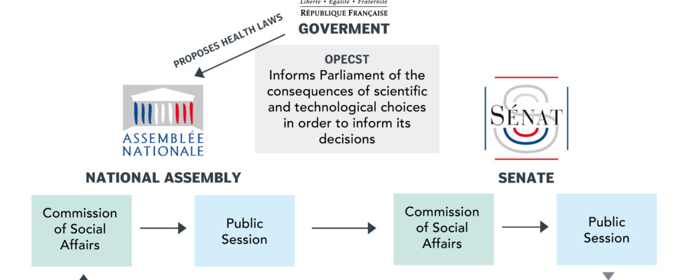 French Parliamentary Bodies