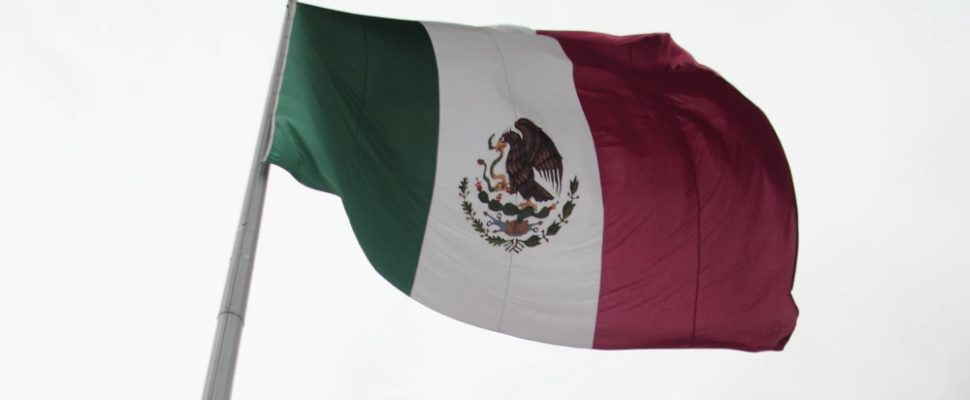 Mexico: If Health is the Goal, Alliances are Key to Getting There