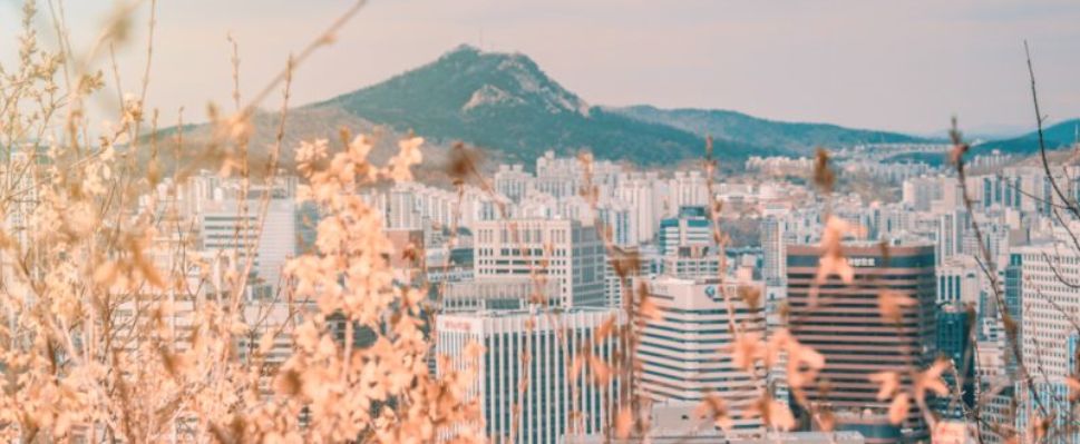Korea’s Government-Funded Venture into Oncology