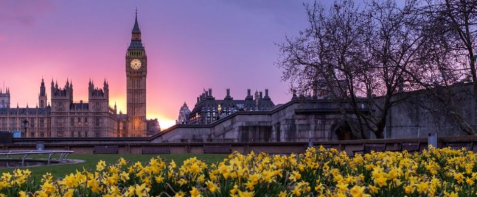 The 5 Most Influential Medical Research Charities in the UK