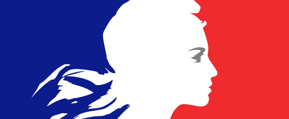 Government Sector Organisations: France