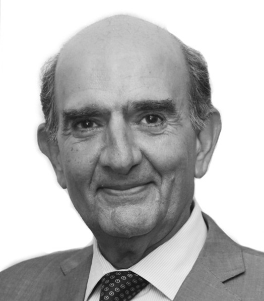 Hassan Behnam – Managing Director, French Chamber of Commerce and Industry in Egypt