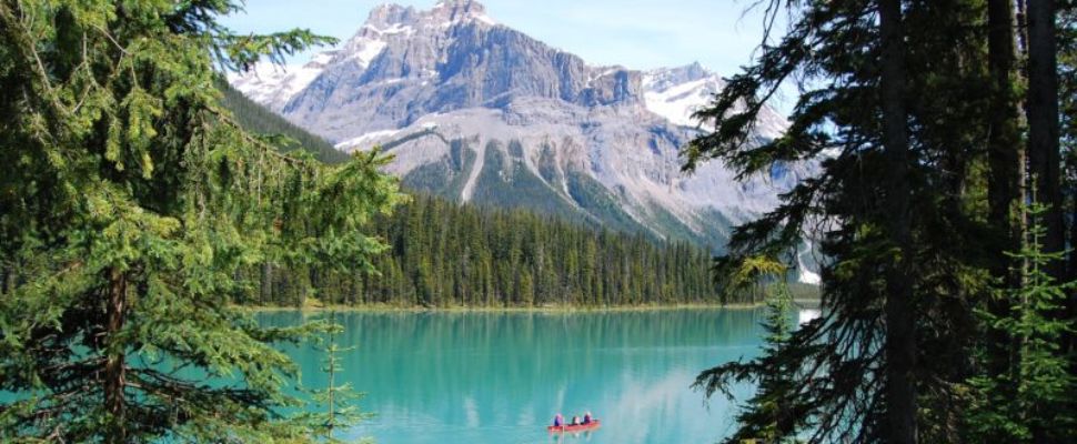 A New Era in Access to Rare Disease Drugs in Canada