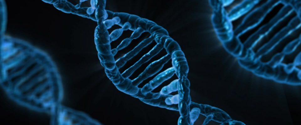 The Impact of Next Generation Sequencing on Women-Focused Cancers