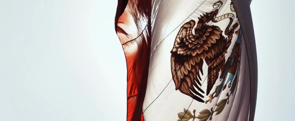 Fighting Corruption in Mexican Pharma