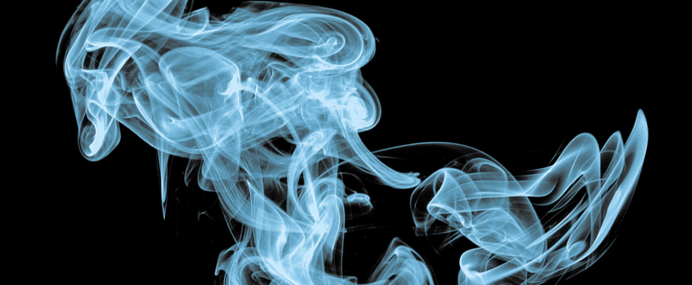 What to Expect from the Cannabis Jobs Market