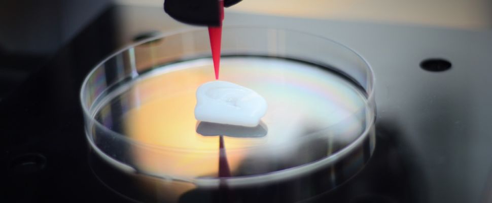 3D Bioprinting: Swedish Firm Cellink at the Forefront