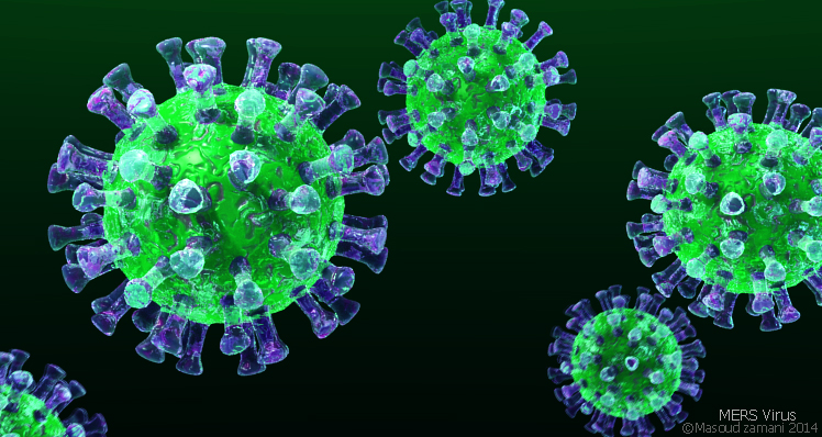 Taiwan-US Research Team in MERS ‘Camel Flu’ Vaccine Breakthrough