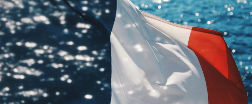 New France Pharma Report June 2019 Out Now