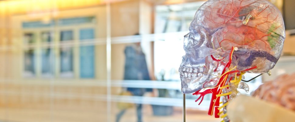 Alzheimer’s Disease R&D Expenditure Snapshot 2019