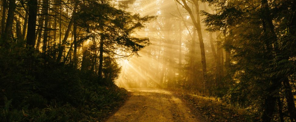 Forging a New Path to Commercialization for Cell and Gene Therapies