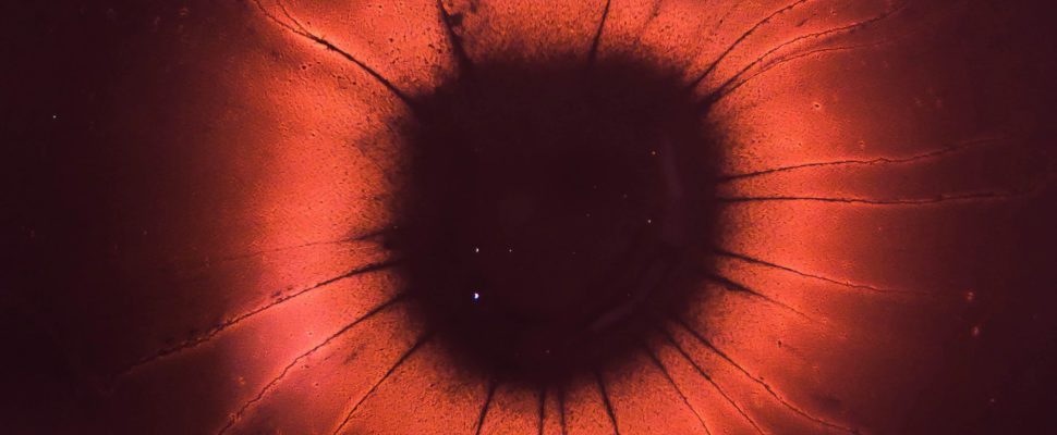 Advanced Therapy Medicinal Products: The Right Time for Hope?