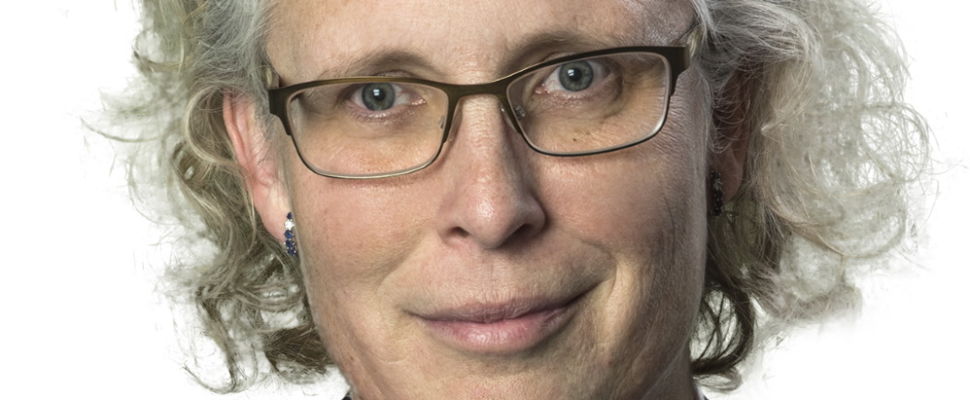 Anna Lefevre Skjöldebrand – CEO, Swedish Medtech