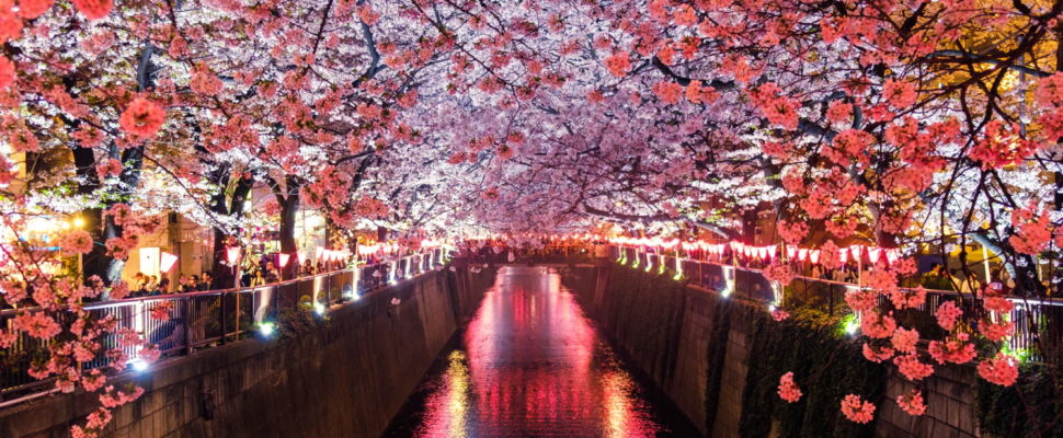 New PMDA Head Yasuhiro Fujiwara Sets Out Top Priorities for Japan’s Drug Regulator