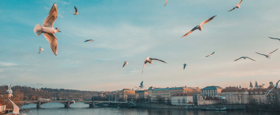 New Czech Republic Pharma Report April 2020 Out Now