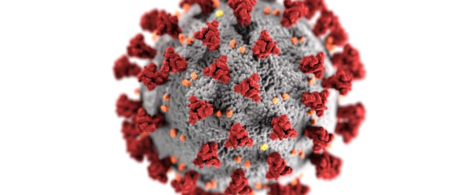 Spain’s PharmaMar to Begin COVID-19 Trials for Aplidin