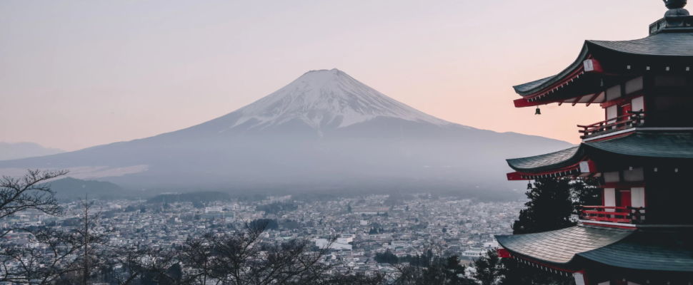 Japan New Drug Approvals 2019