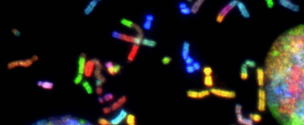 Biotech Spotlight: Alphamab Oncology, China