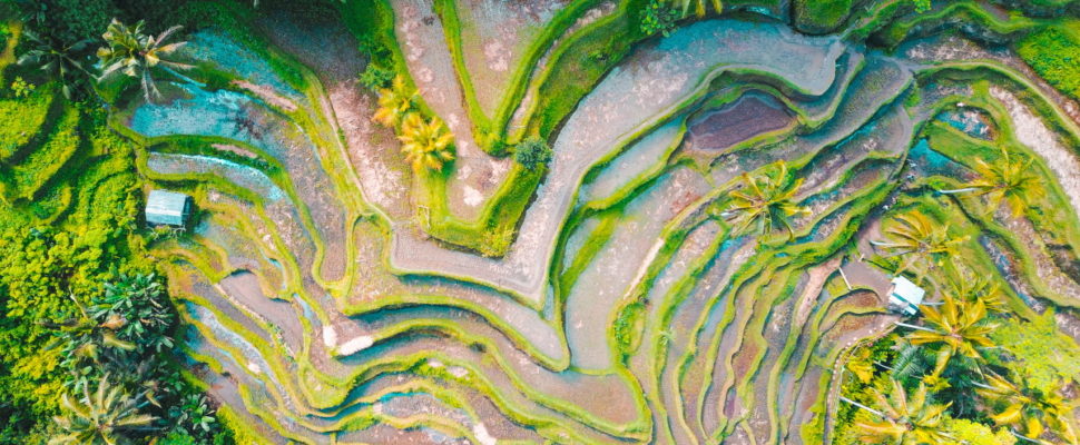 Asia-Pacific Pharma Partnerships News September 2020