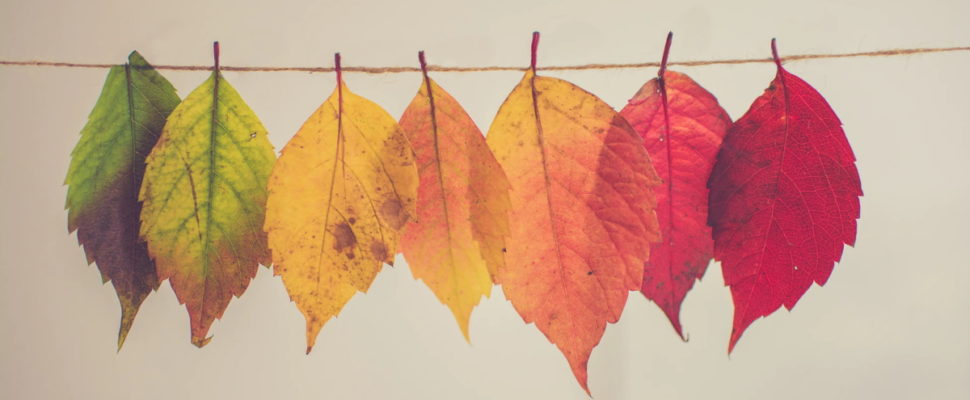 Novartis Oncology US: Leaning into Change
