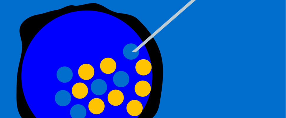 Embryonic Gene Editing: How Far is Too Far to Find a Treatment for Your Child?