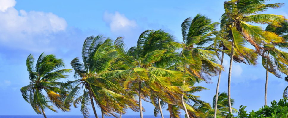 Top 15 Pharma Companies in Central America & Caribbean