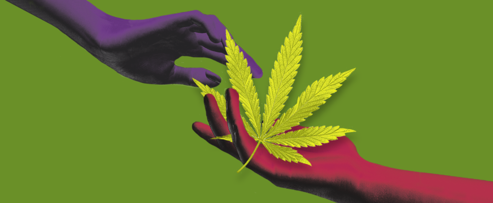 InFocus Cannabis