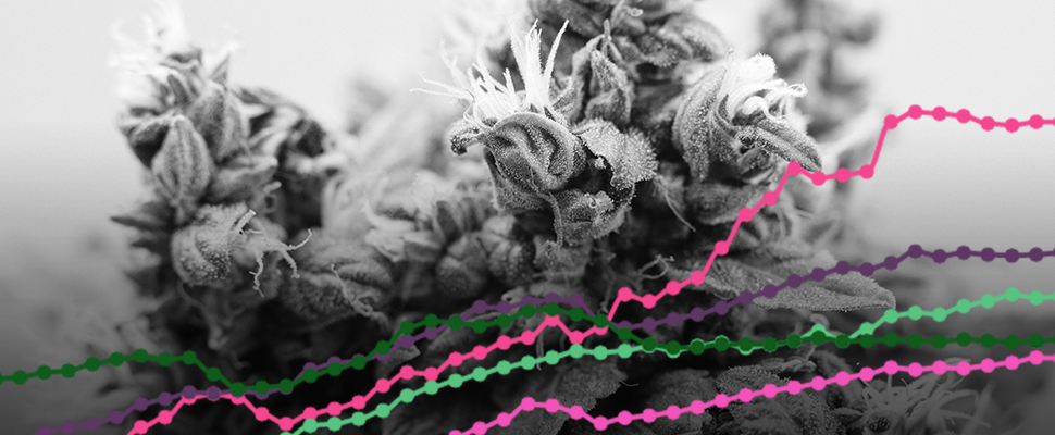 The Medical Cannabis Investment Landscape