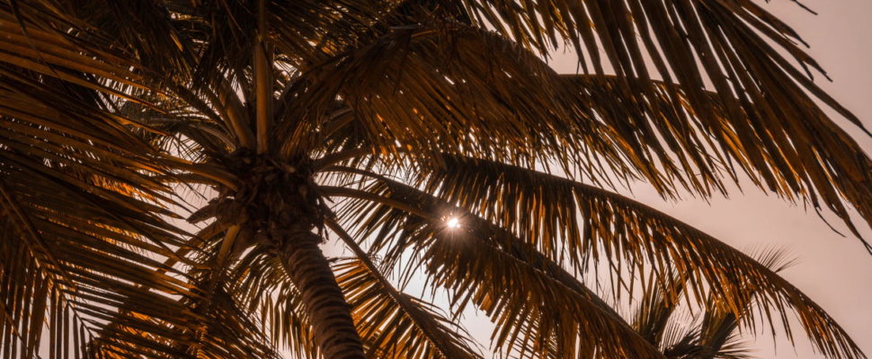 Importance of Reliance to Support Strengthening Latin American & Caribbean Regulatory Systems