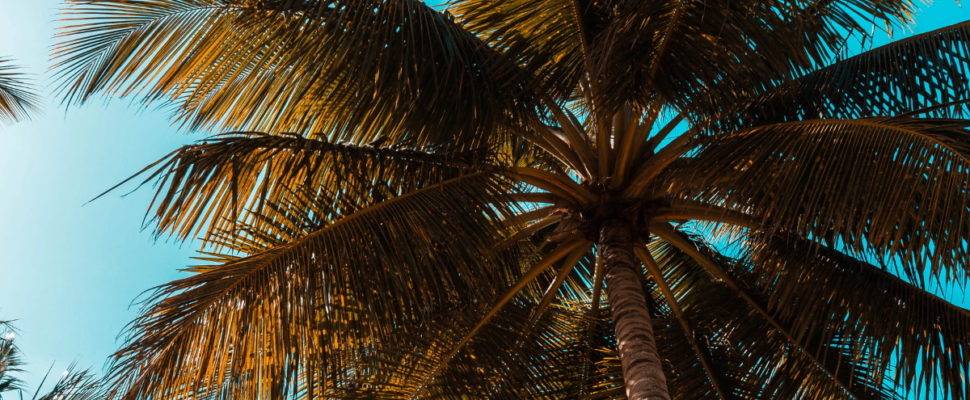 Dominican Republic: A Hidden Manufacturing Gem