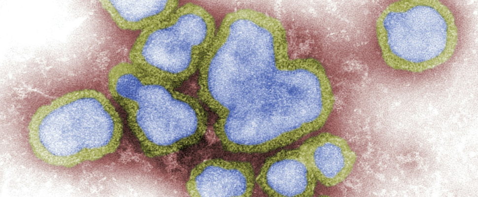 Flu Vaccination More Important Than Ever to Ensure Global Healthcare Systems Protect Most Vulnerable