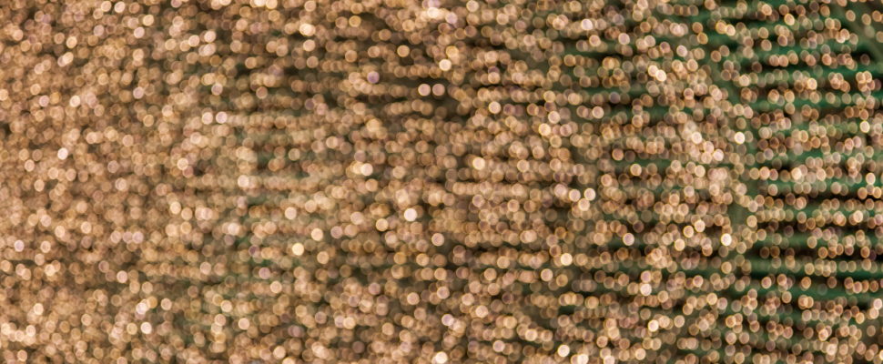 Denmark’s Patient Data Goldmine: 5 Country Managers Have Their Say