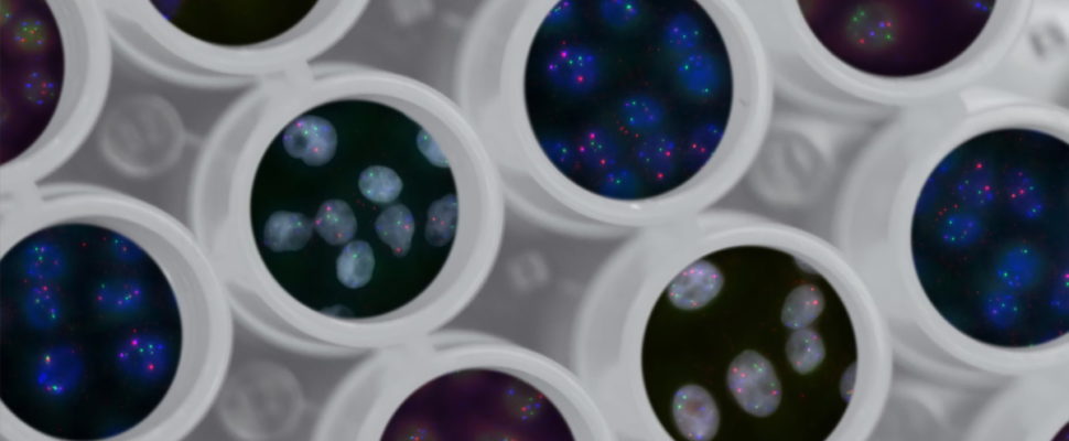 The Cell & Gene Therapy Market: Excitement Abounds