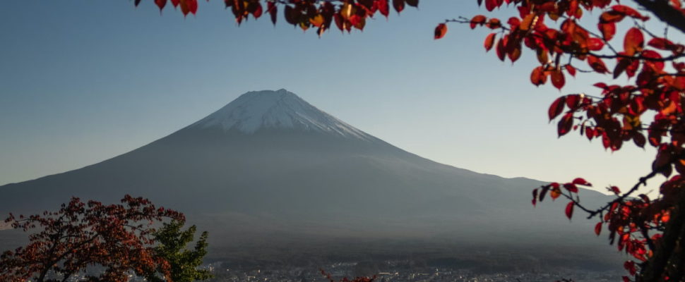 Japan PMDA Drug Approvals 2021