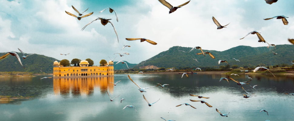 India Healthcare and Pharma News: COVID Vaccine Boosters for Adults; 19 Local Firms in Pfizer Deal; API Incentives