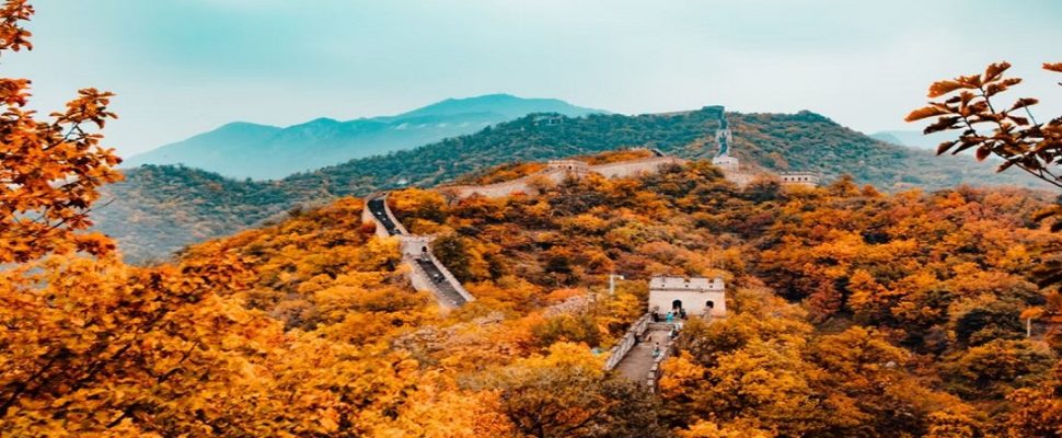 Chinese Cell & Gene Companies to Follow