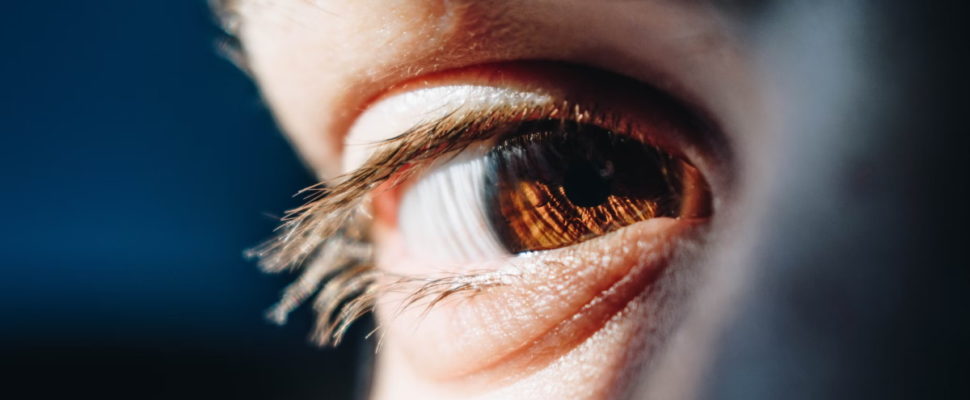 Eyes On the Prize: From Sicilian Roots to FDA Approval