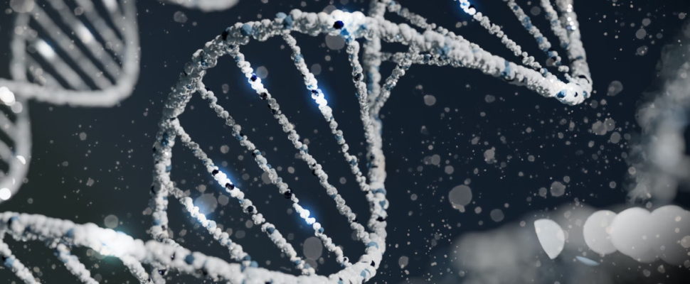 Paleogenetic Pioneer Wins 2022 Nobel Prize in Medicine